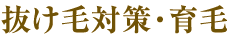 抜け毛対策・育毛